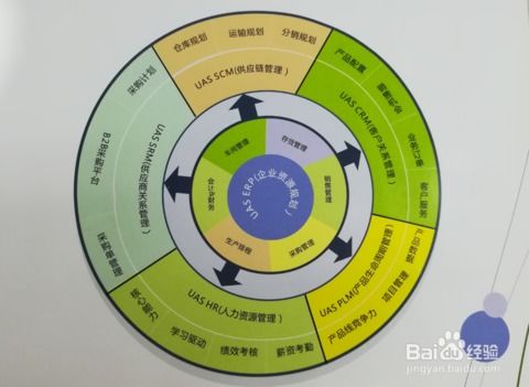 贸易公司管理uas系统是怎么样的